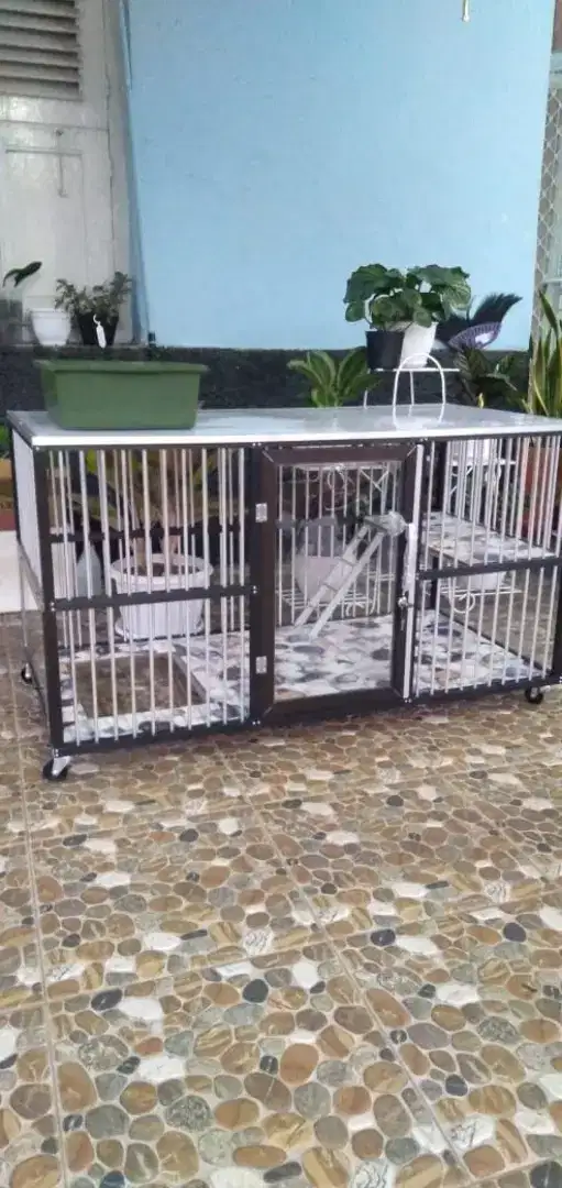 Kandang kucing pondok cabe