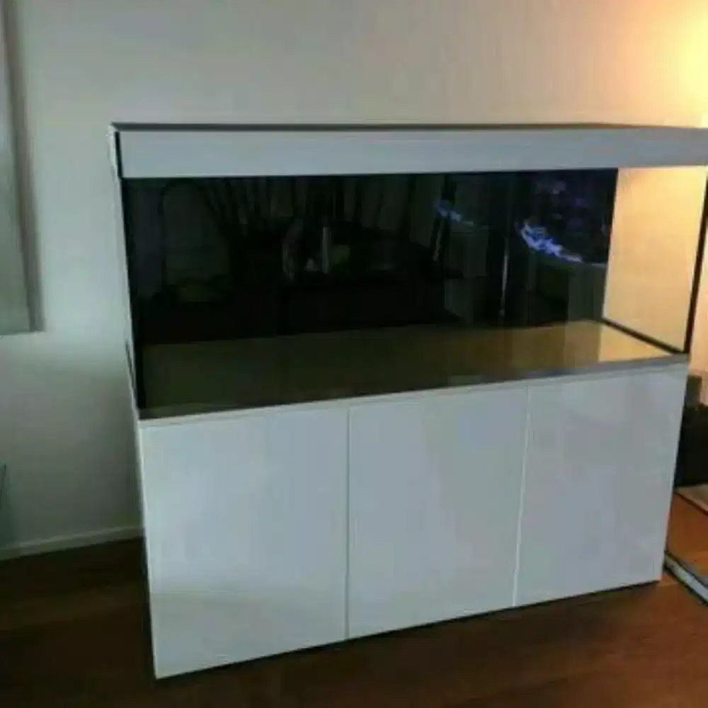 Aquarium baru Murah berkwalitas