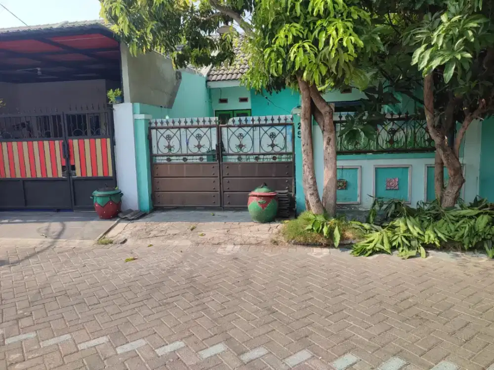 Jual Cepat Rumah Murah Bu Dijual Rumah Apartemen