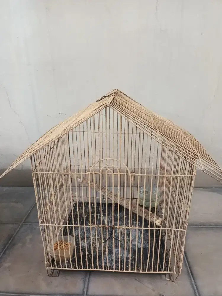 Kandang burung dan hamster