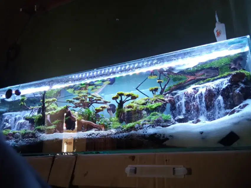 Aquascape Open Order Spec Jos Perawatan Mudah