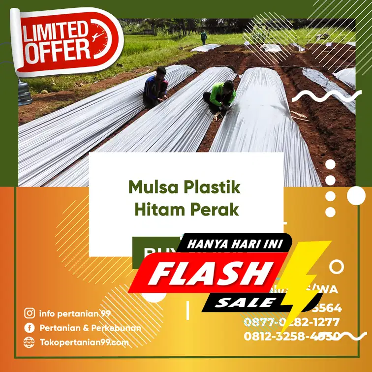 Jual Mulsa Plastik Hitam-Perak, Dijual per Roll