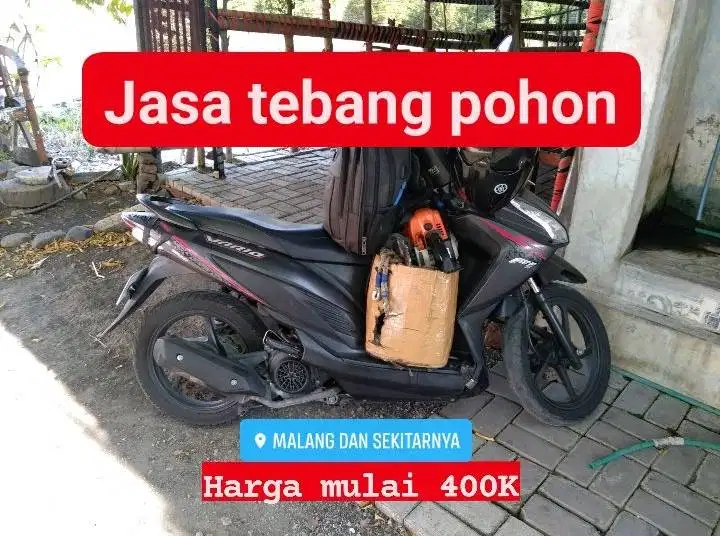 Tebang pohon pakai mesin