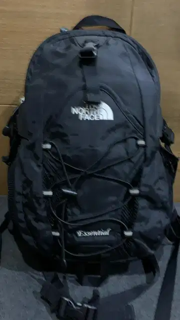 Daypack the north face hot sale original