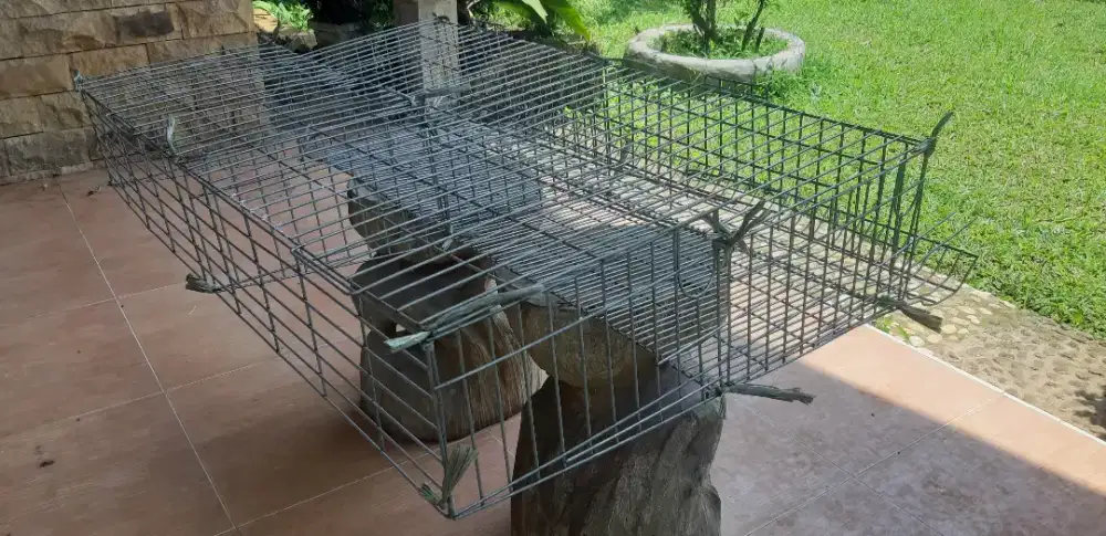 Kandang Puyuh Besi Aluminium