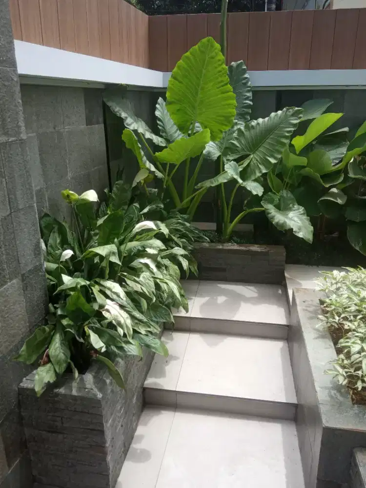 jasa taman profesional