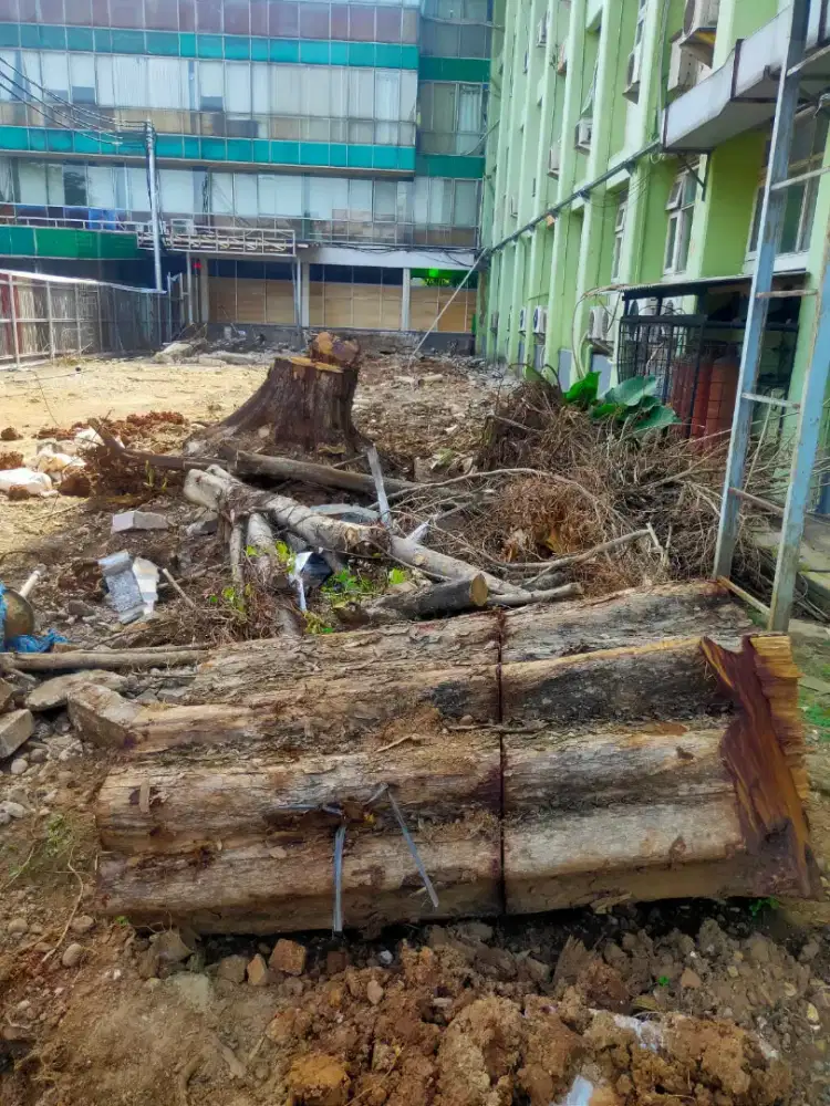 Jack hammer molen genset pemadat senso stamper kodok kuda baby roller