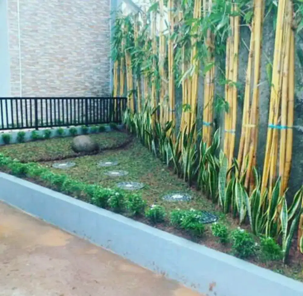 Tukang taman jual rumput beji depok