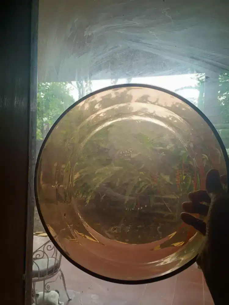 Piring Pyrex diameter 25.5cm for oven & microwave