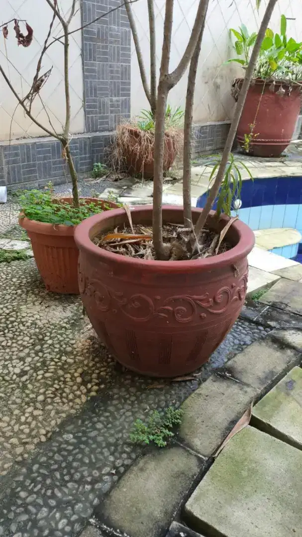 Aneka Pot Gerabah