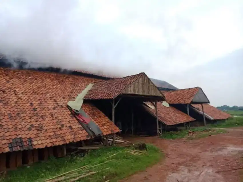 Batu Bata Merah Press Jumbo Cikarang