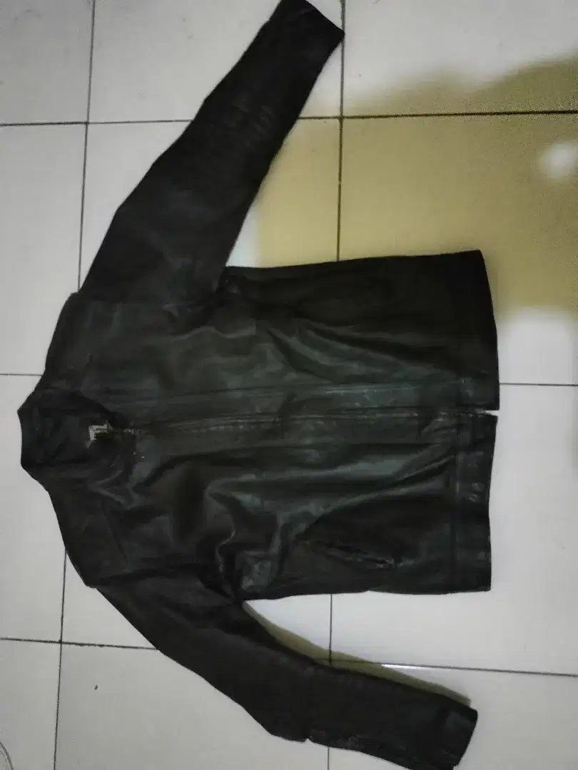 Jaket kulit original