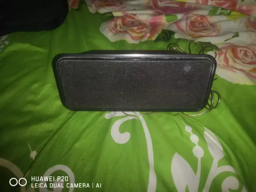 Speaker center phillips
