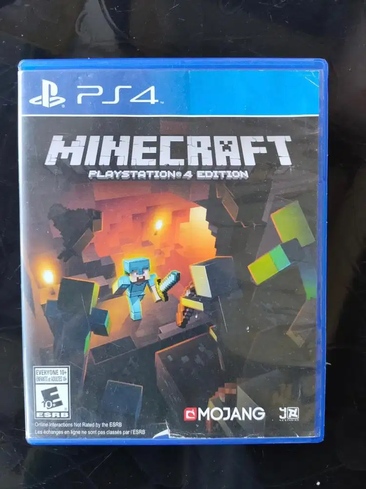 Playstation 4 & Playsation 5 BD Minecraft