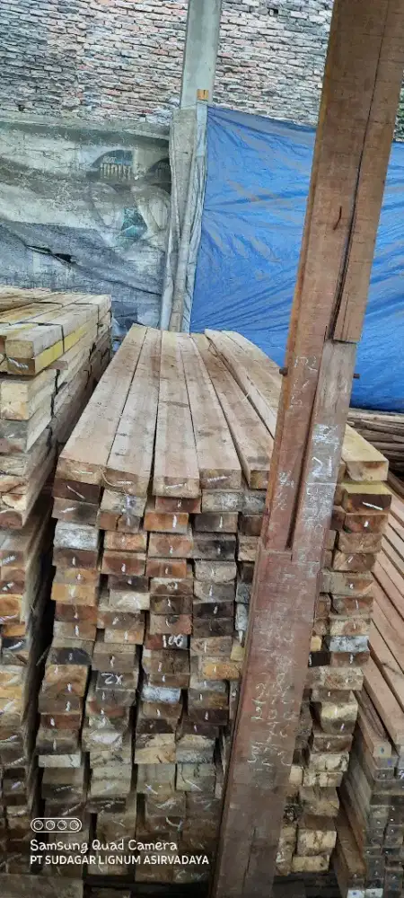 Kayu proyek 5x10x400 harga per batang