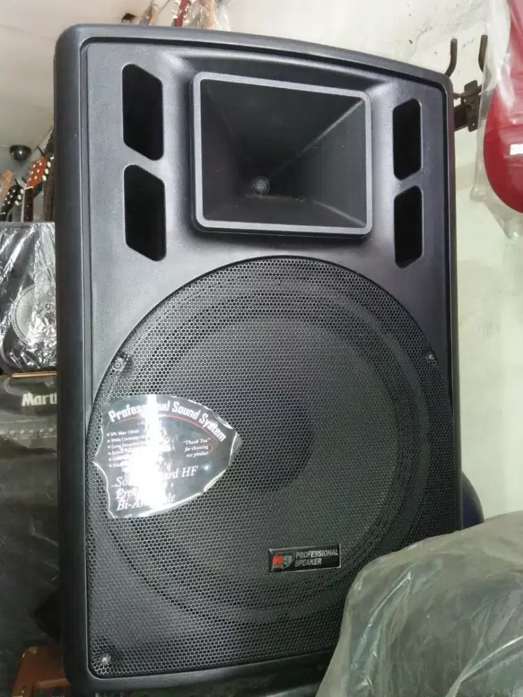 Aktif celebres 15in 2pcs