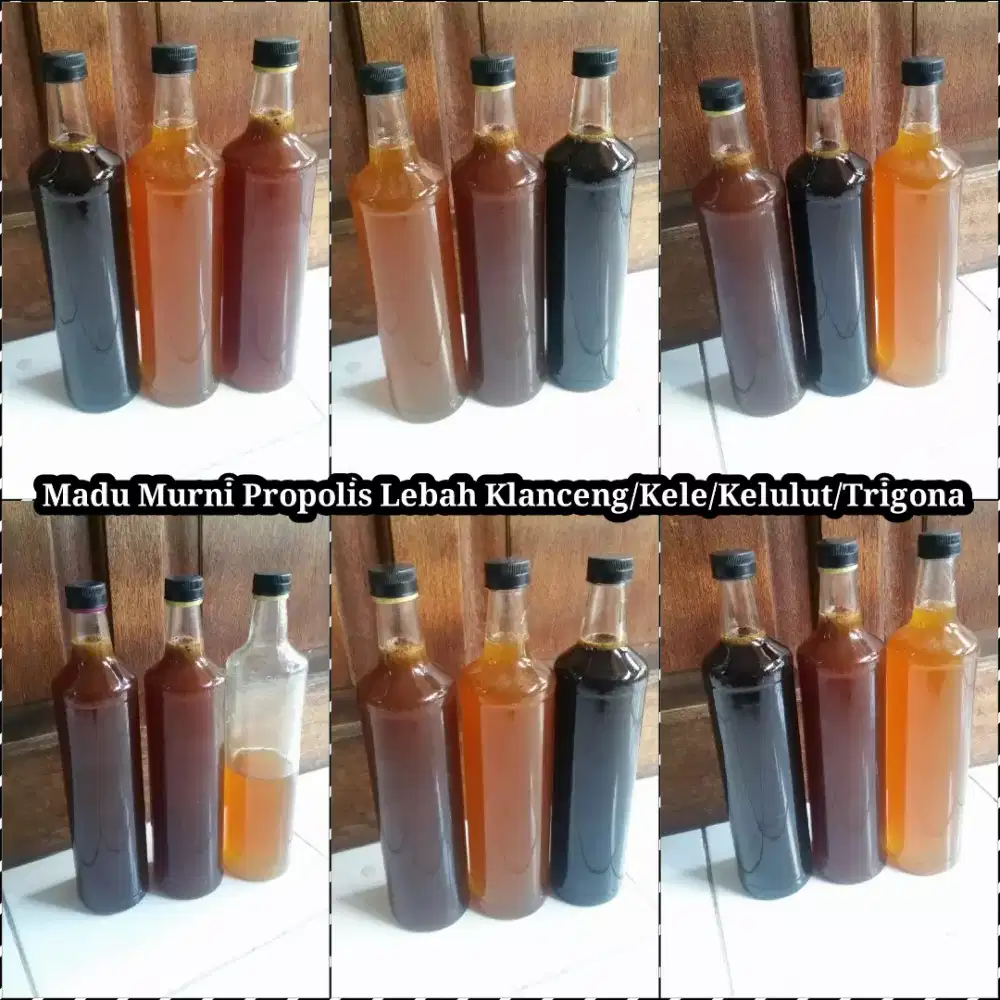 Madu Murni Lebah Trigona/Kele/Klanceng (Garansi) Uji Sebelum Membeli