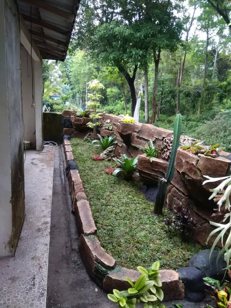 Tukang jasa kolam relief dan taman dinding