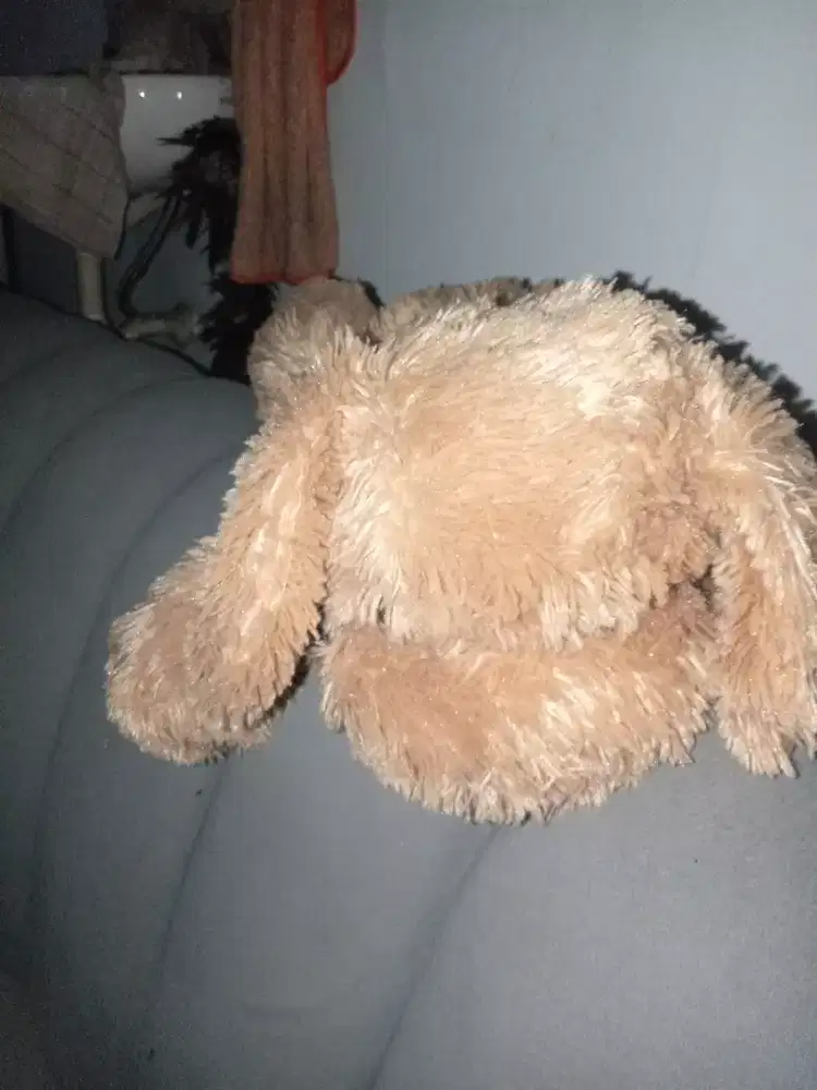 Boneka funny dog coklat