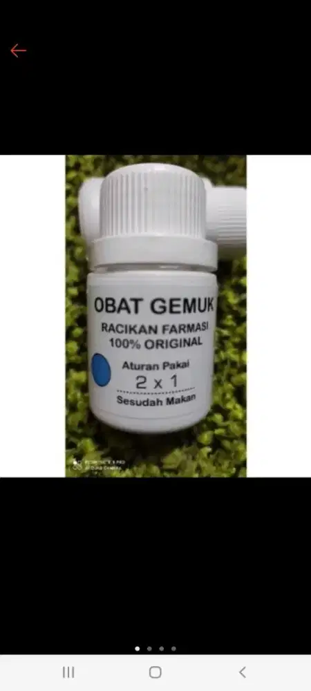 Obat gemuk farmasi isi 60 bitir