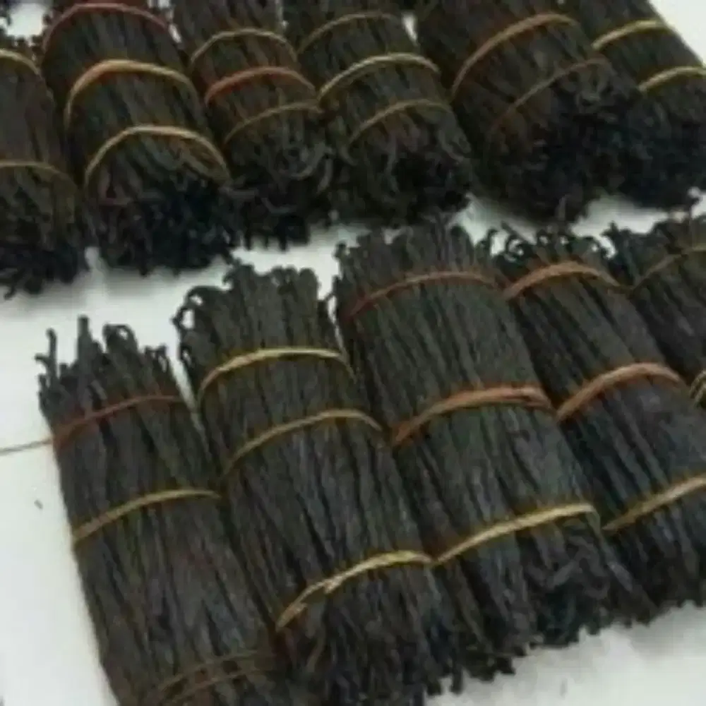 Buah Vanili Premium yang Harum