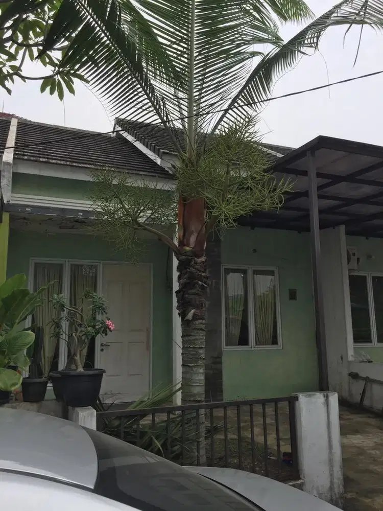Sewa rumah kontrakan Cluster Murah Metland Cibitung