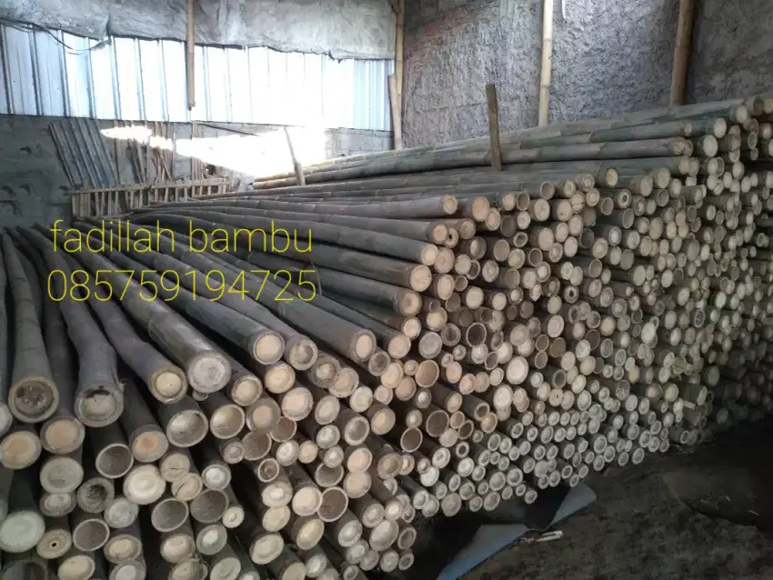 Jual bambu steger dll