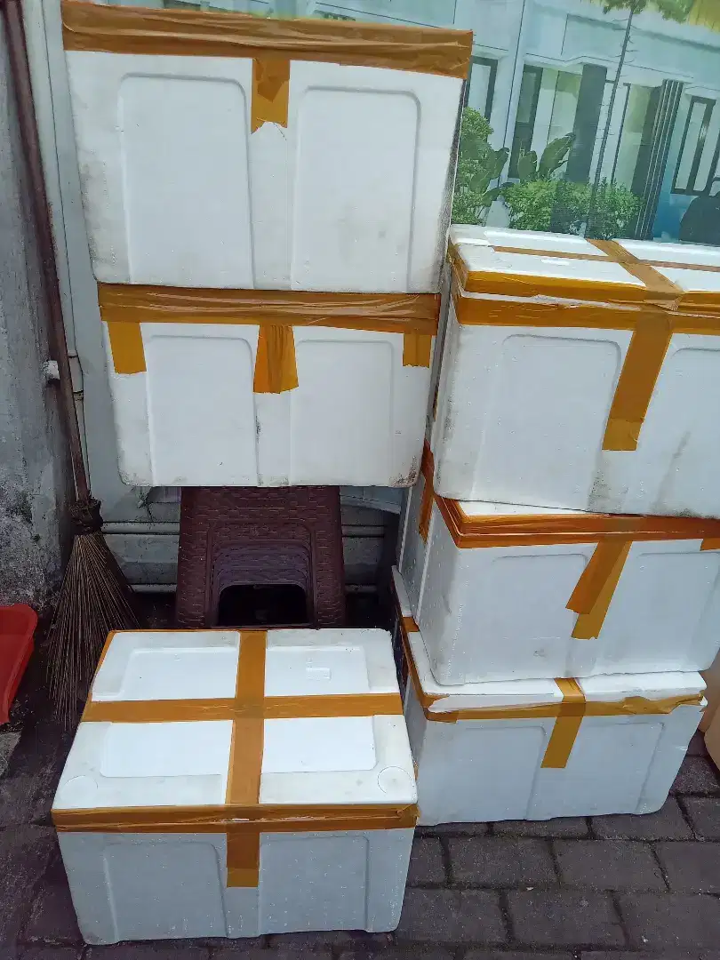 Murah Kotak box styrofoam