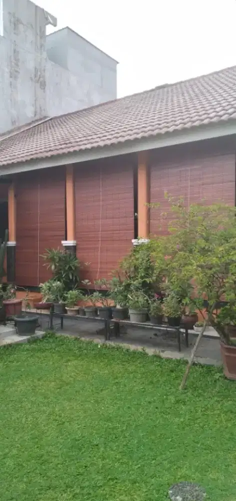 Krey kayu segala ukuran dan motif warna