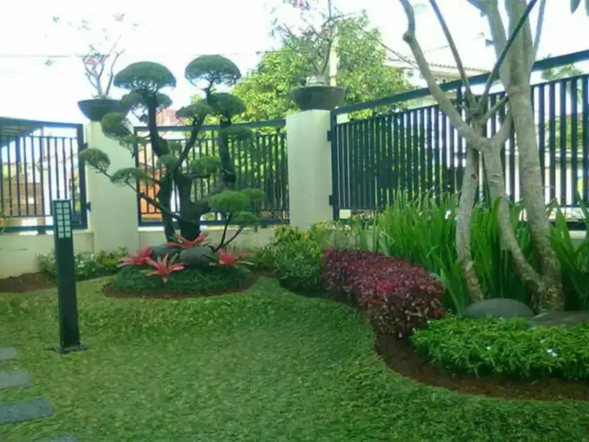 pembuatan taman dan kolam ikan