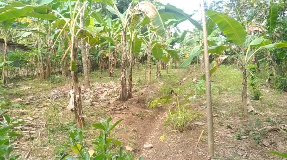 Jual Tanah SHM Combongan kota Sukoharjo Jawa Tengah