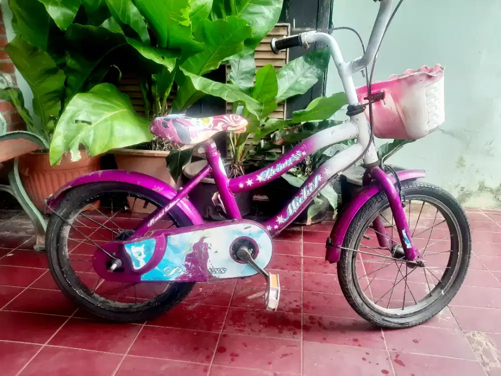 Sepeda anak Princess uk.16