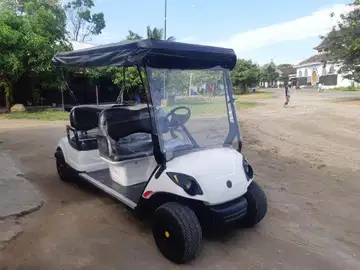 Mobil hot sale golf buggy