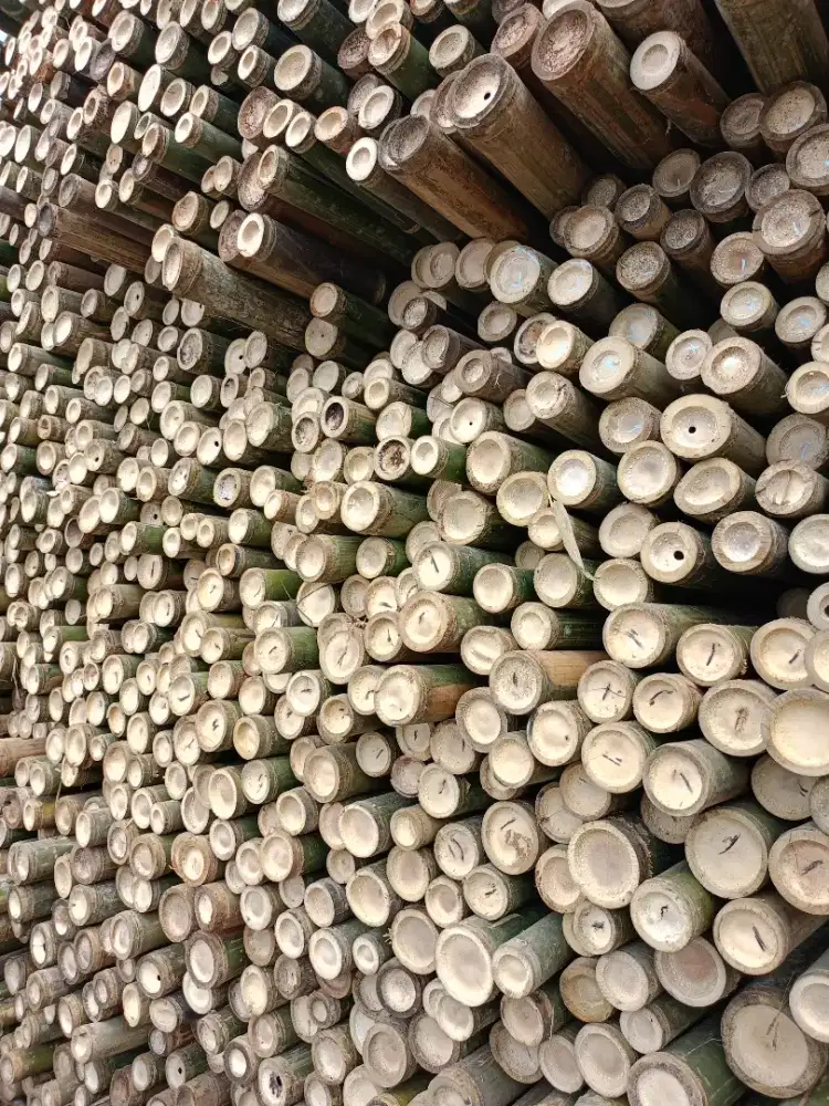 Kami menjual bambu steger dll.