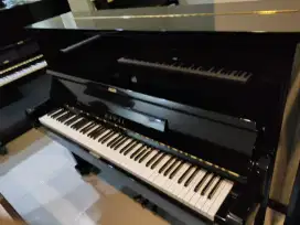 Kawak Piano BL31