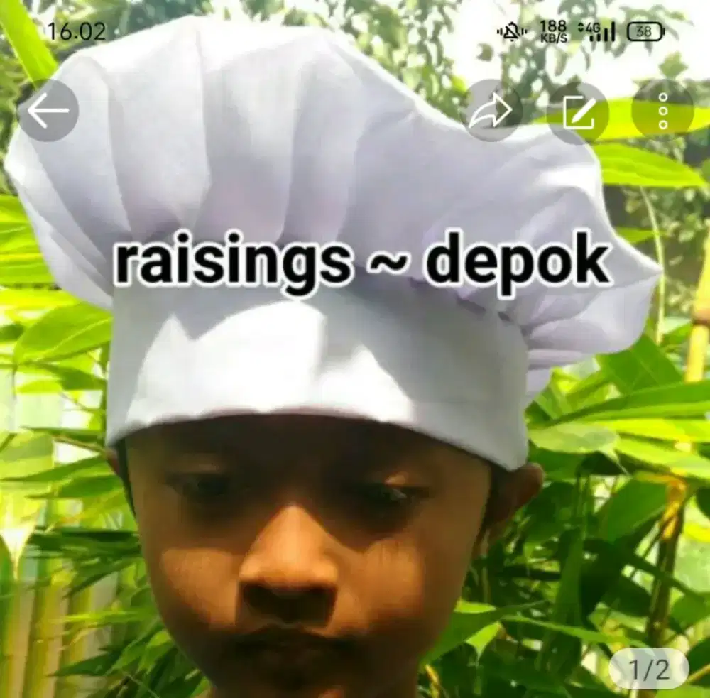 topi chef koki katun anak