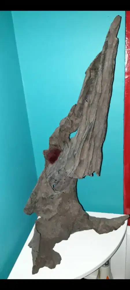 Batuan Fosil Tua 220 Tahun