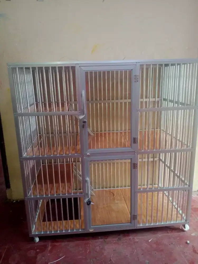 Kandang kucing cempaka putih 4