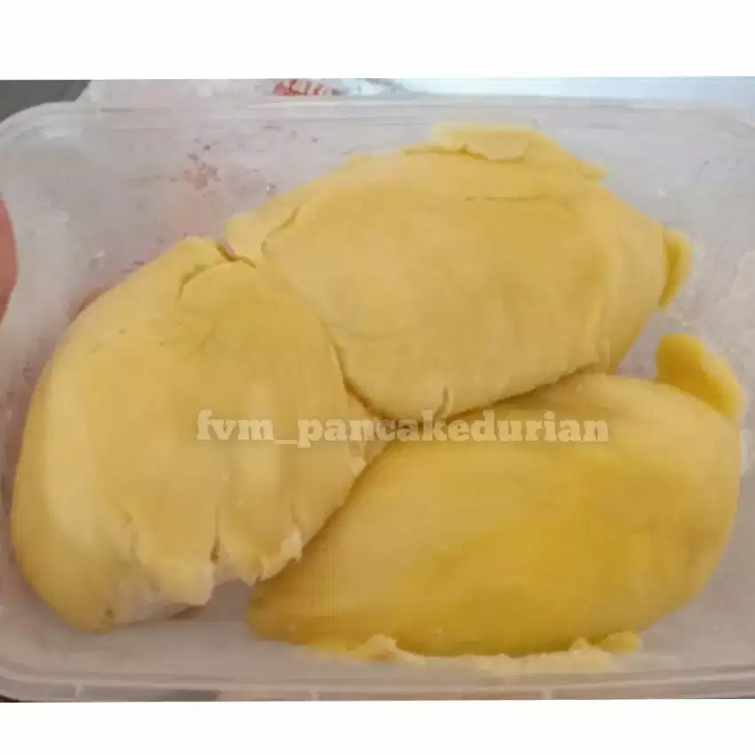 durian montong 500 gr