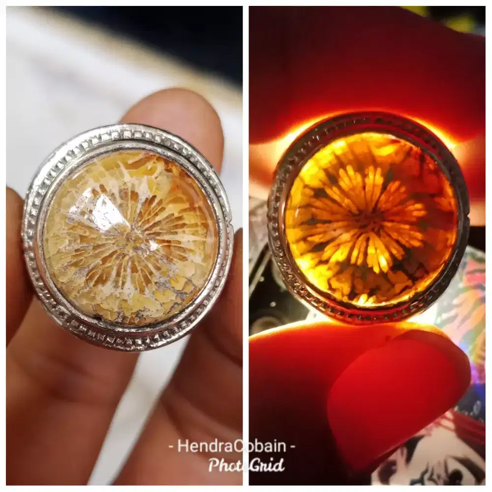 Natural Batu Cincin Teratai Tunggal Langka