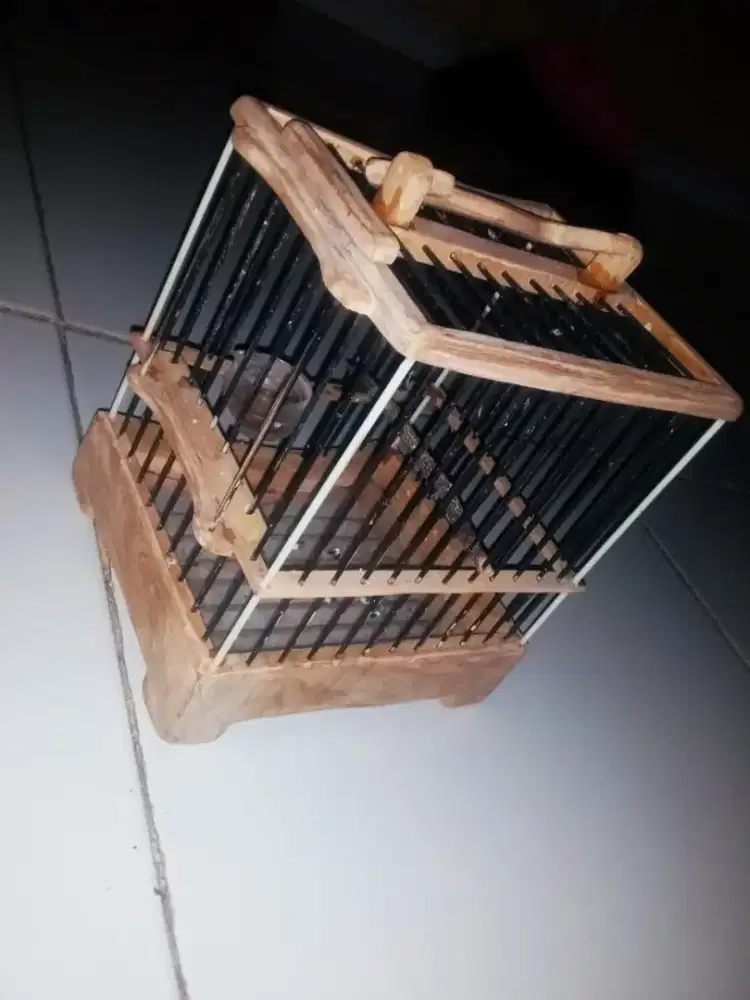 Kandang Mungil Untulan dll ukuran 16x14x17cm Harga NETTTTT