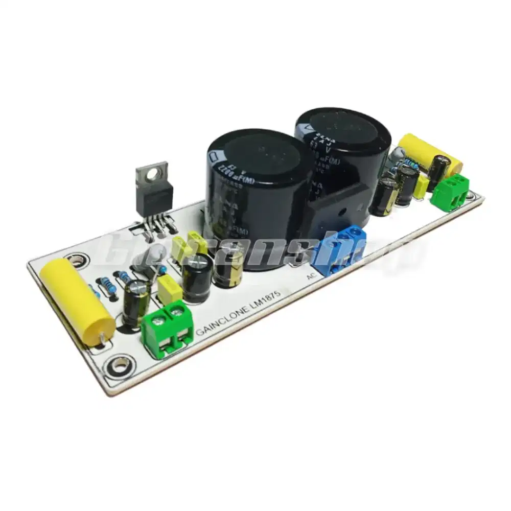 Kit Gainclone LM1875