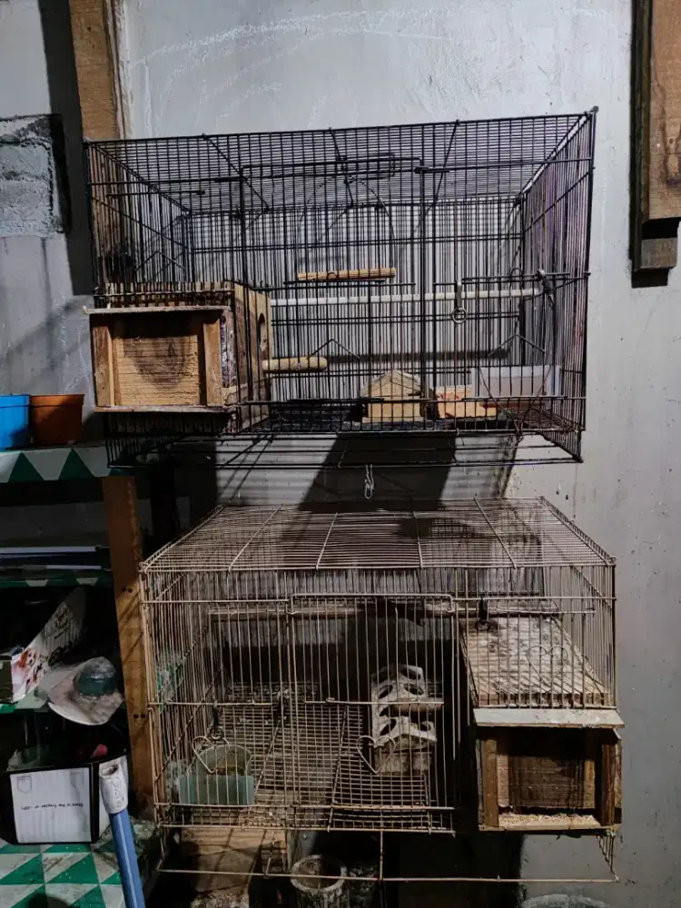 Kandang Ternak 60 plus Glodok kaca full set