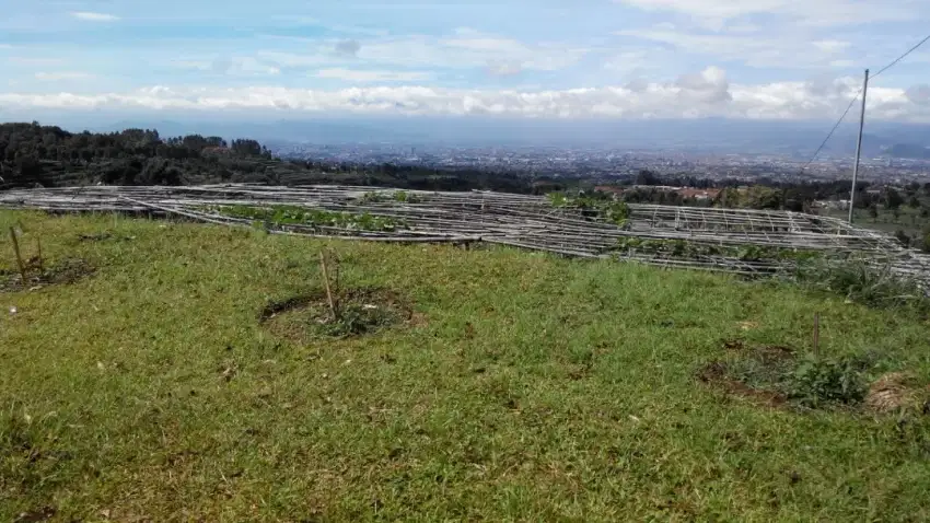 TANAH MURAH 1,7JT/METER VIEW DEKAT THE PEAK