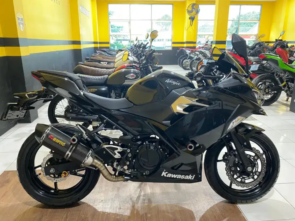 ninja 250 sl 2019