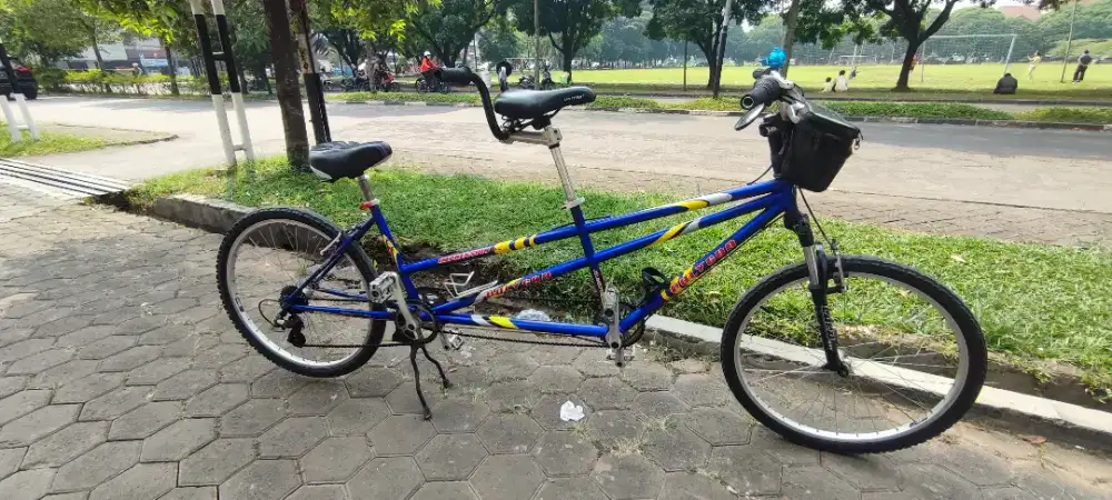 Polygon impresion (tangdem)