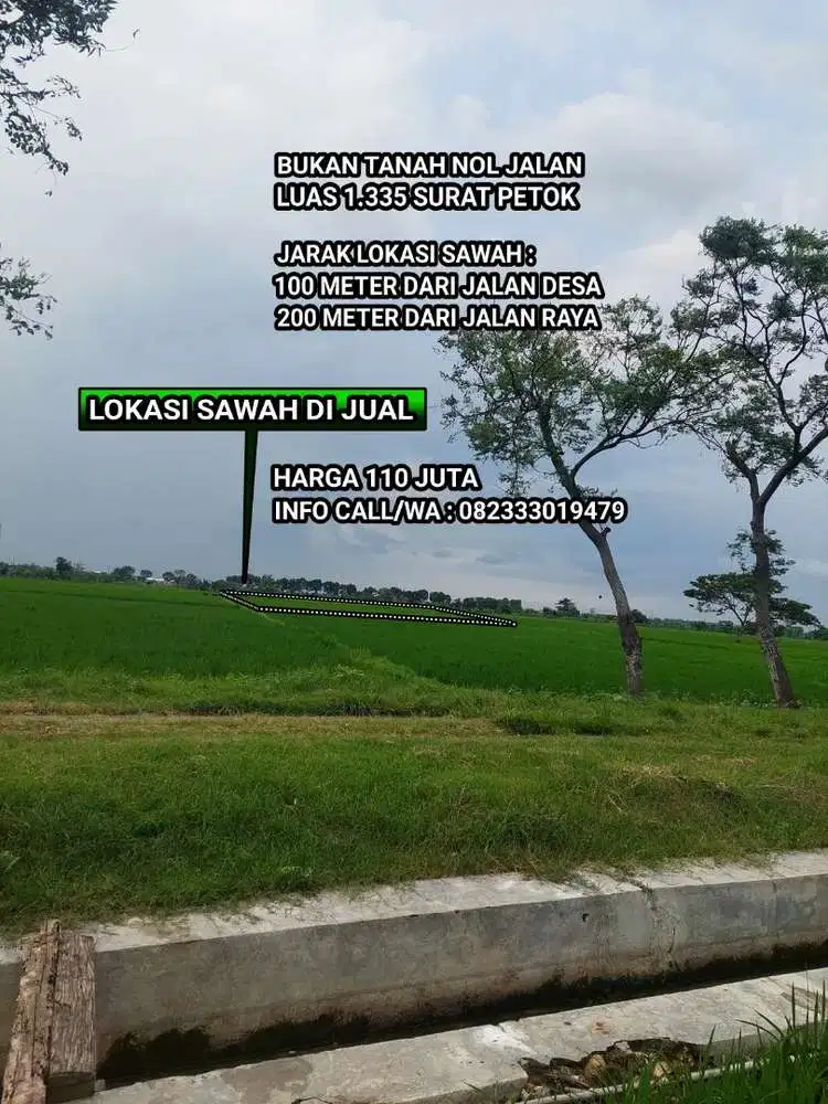 Jual Tanah Sawah Subur Harga Murah Tanah