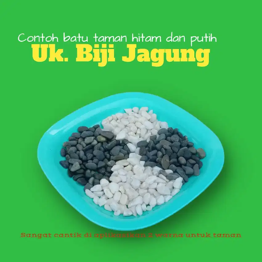 Batu taman putih hitam dan telur puyuh