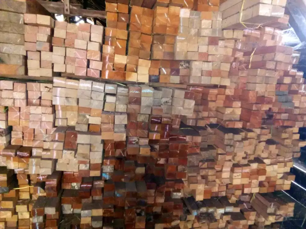 kayu Meranti, kamper, bengkirai, MC/RC, kayu Glugu/kelapa, dan Triplek