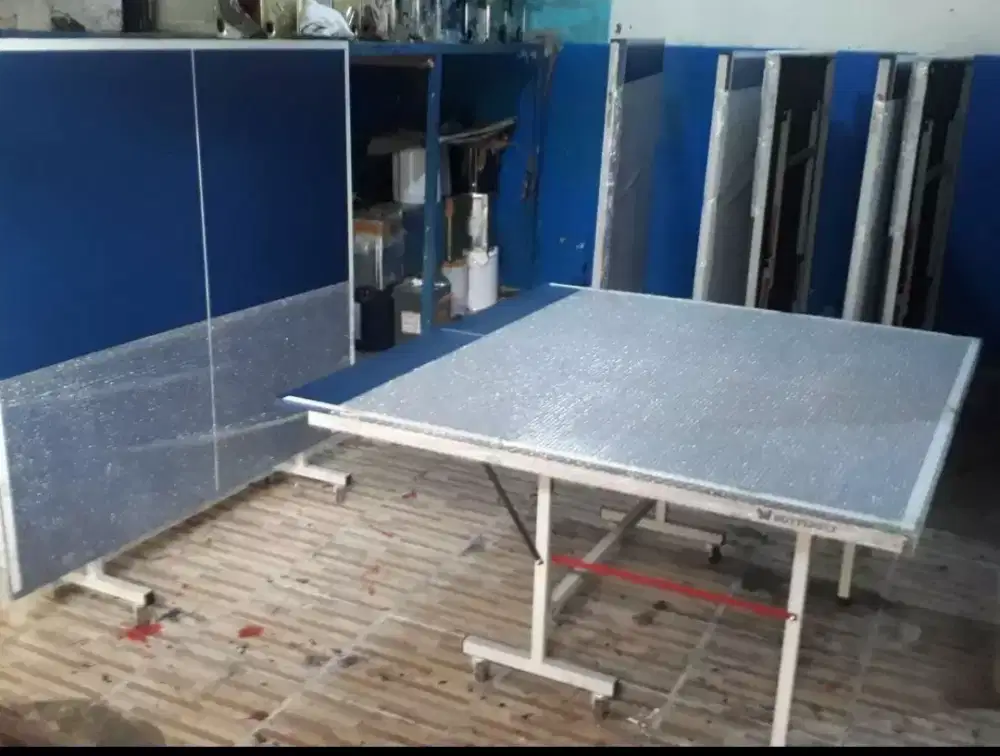 TENIS MEJA BUTTERFLY TERBAIK